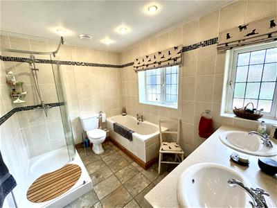 Picture 16